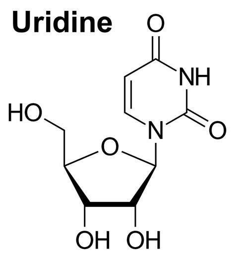 It is a necessary substrate in the synthesis of choline. . Uridine euphoria reddit